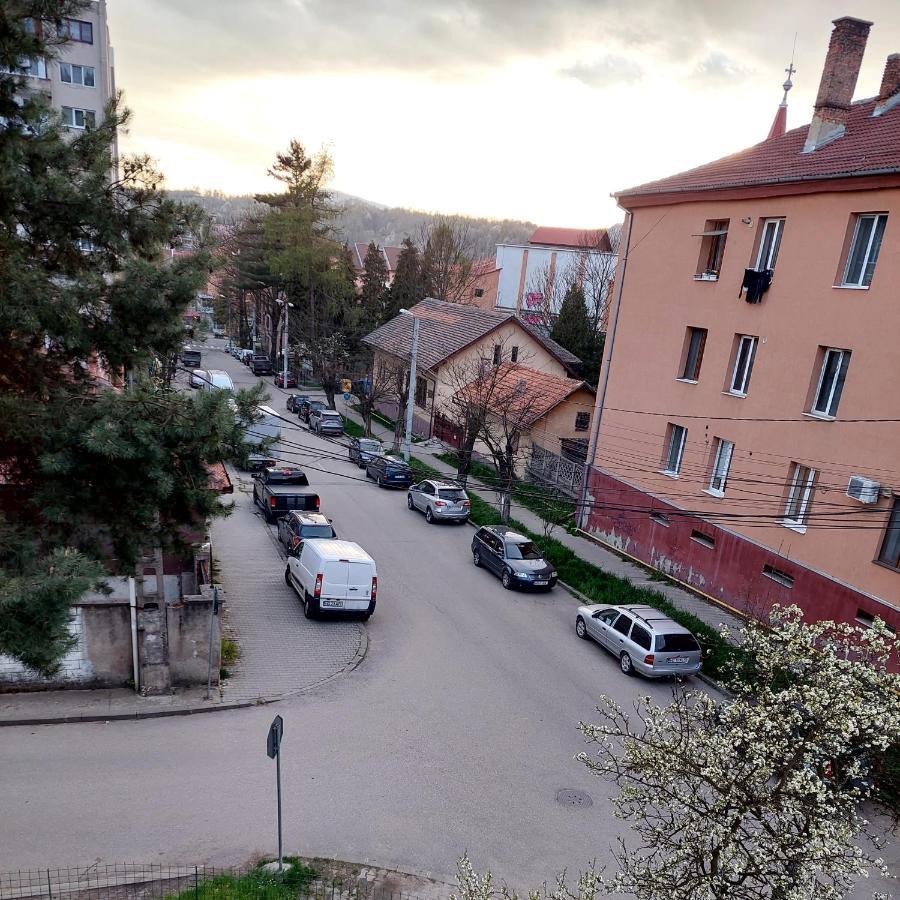 Fely Room Petroşani Εξωτερικό φωτογραφία