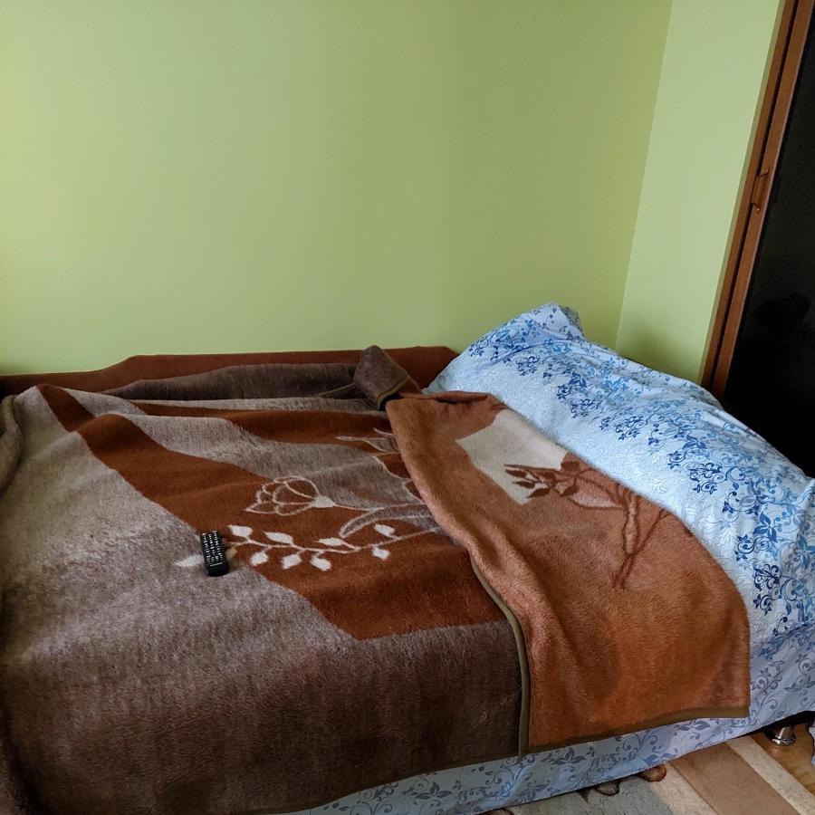 Fely Room Petroşani Εξωτερικό φωτογραφία