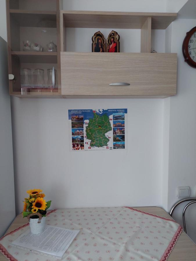 Fely Room Petroşani Εξωτερικό φωτογραφία
