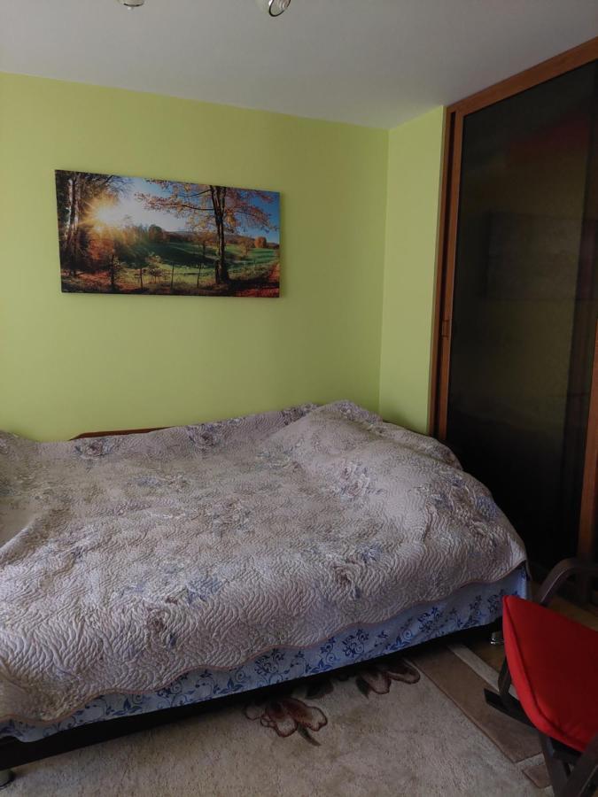 Fely Room Petroşani Εξωτερικό φωτογραφία