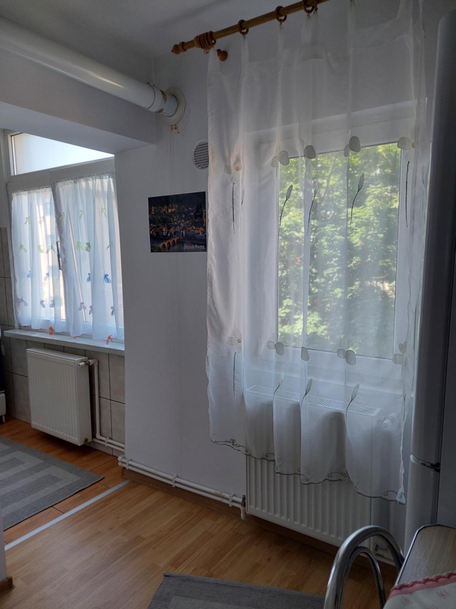 Fely Room Petroşani Εξωτερικό φωτογραφία